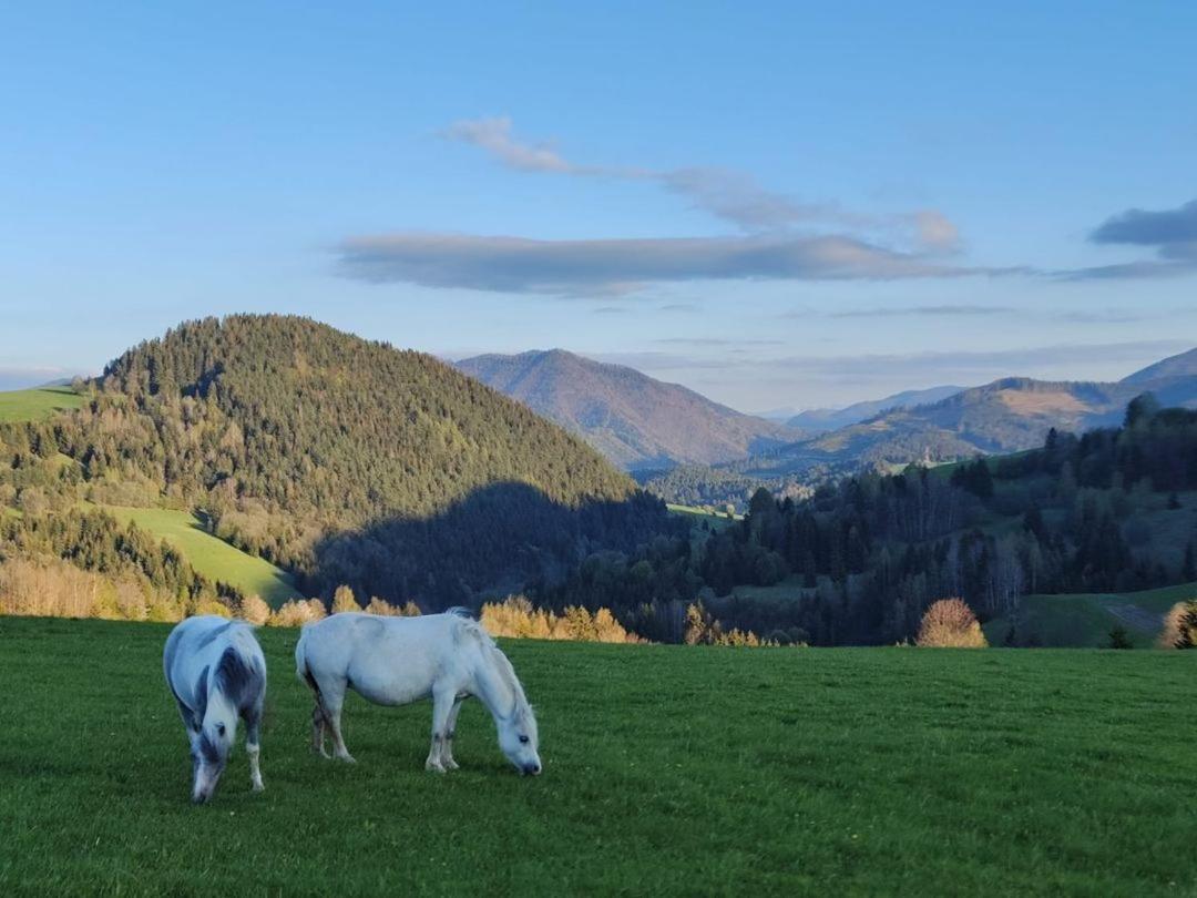 Penzion Zazrifka Zázrivá Zewnętrze zdjęcie