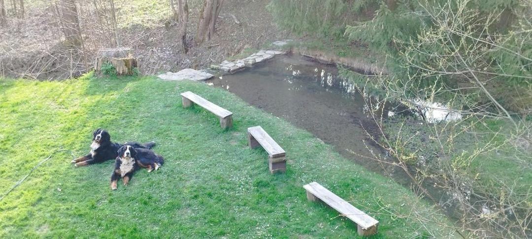 Penzion Zazrifka Zázrivá Zewnętrze zdjęcie